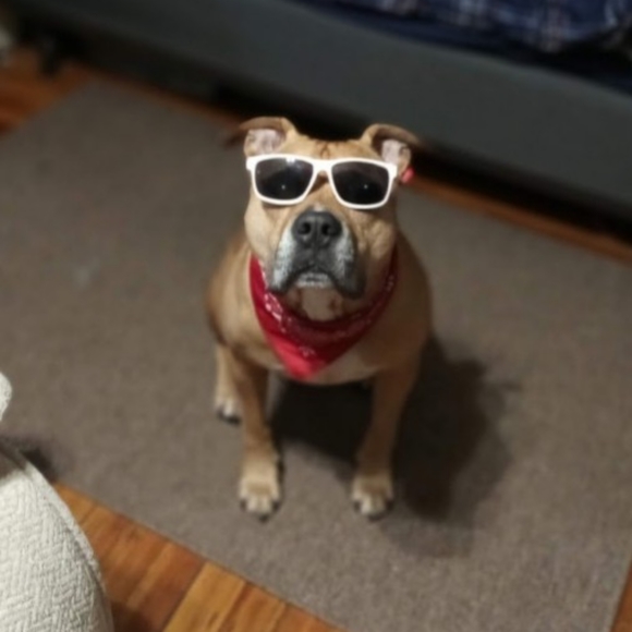 All original artwork and much more to come. - Picture 10 of 16